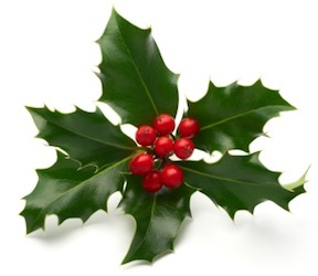 http://cltg.org/cltg/clt2018/images/christmas_holly.png